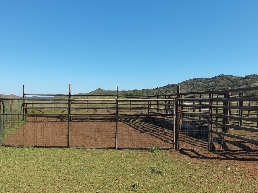 4 Bedroom Property for Sale in Bloemfontein Rural Free State